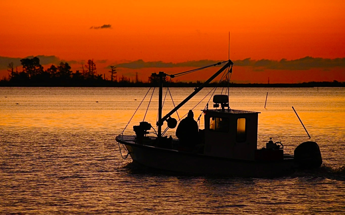 Rappahannock Watermen