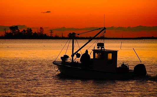 Rappahannock Watermen